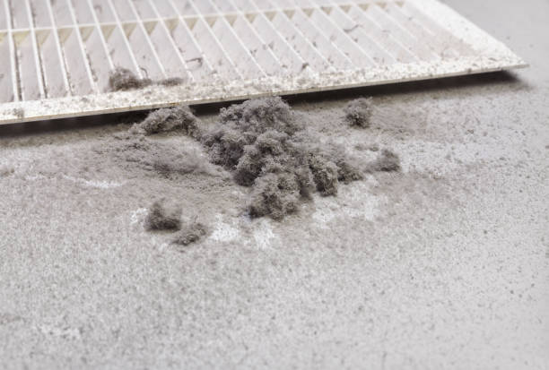 Best Duct Cleaning for Homes  in Toftrees, PA
