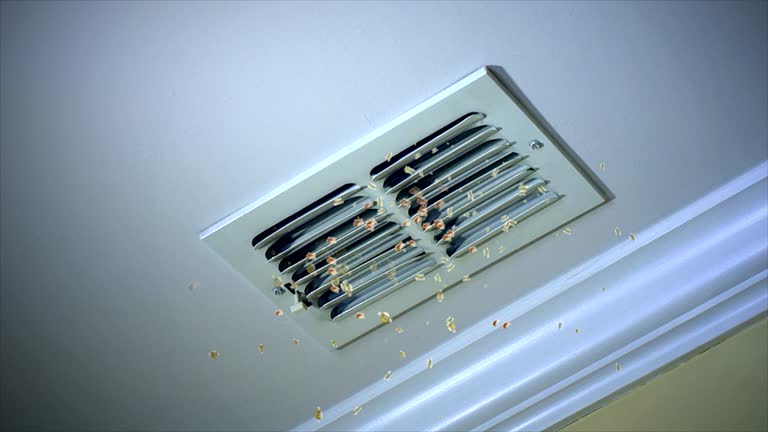 Best Affordable Air Duct Cleaning  in Toftrees, PA