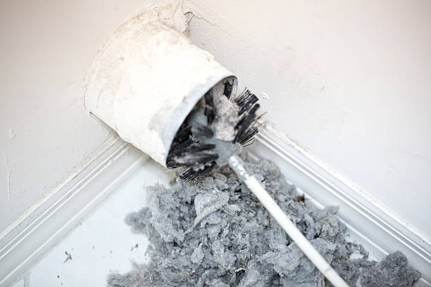 Best Professional Duct Cleaning Services  in Toftrees, PA